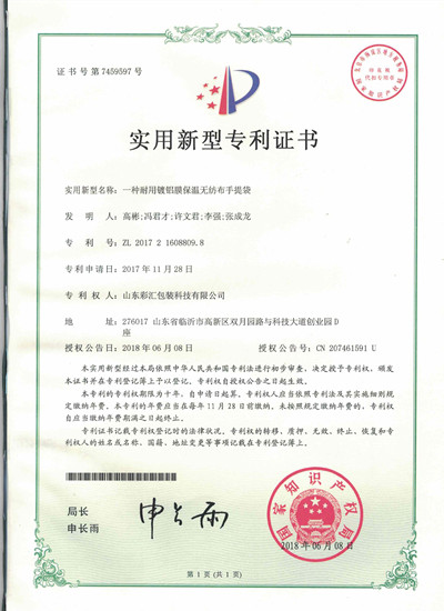 山東彩匯包裝科技有限公司專利證書6